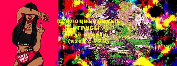 ПСИЛОЦИБИНОВЫЕ ГРИБЫ Алзамай
