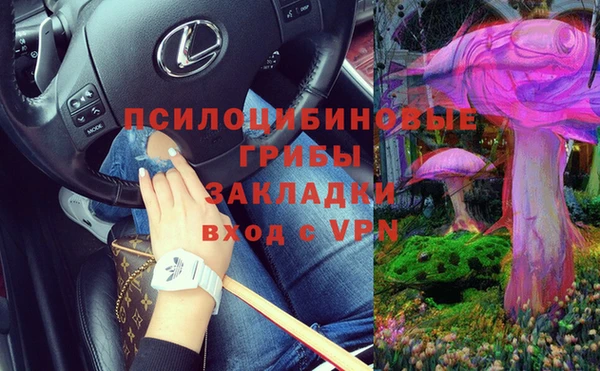 ПСИЛОЦИБИНОВЫЕ ГРИБЫ Алзамай