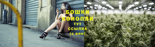 ПСИЛОЦИБИНОВЫЕ ГРИБЫ Алзамай