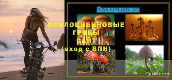 ПСИЛОЦИБИНОВЫЕ ГРИБЫ Алзамай