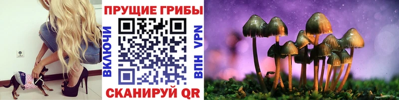 как найти наркотики Удачный OMG ССЫЛКА Псилоцибиновые грибы мухоморы